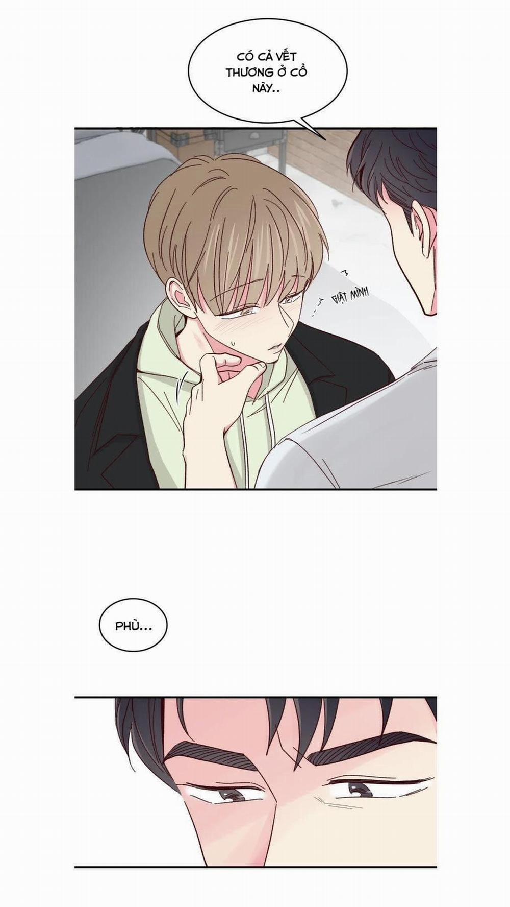 Món Tráng Miệng Của Sếp Tổng 59 trang 6