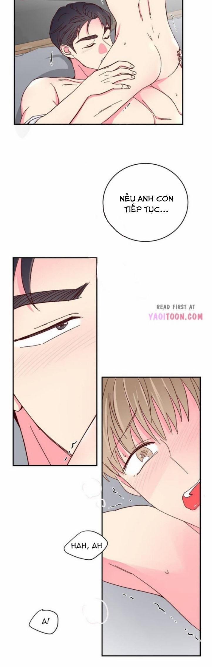 Món Tráng Miệng Của Sếp Tổng 61 trang 16