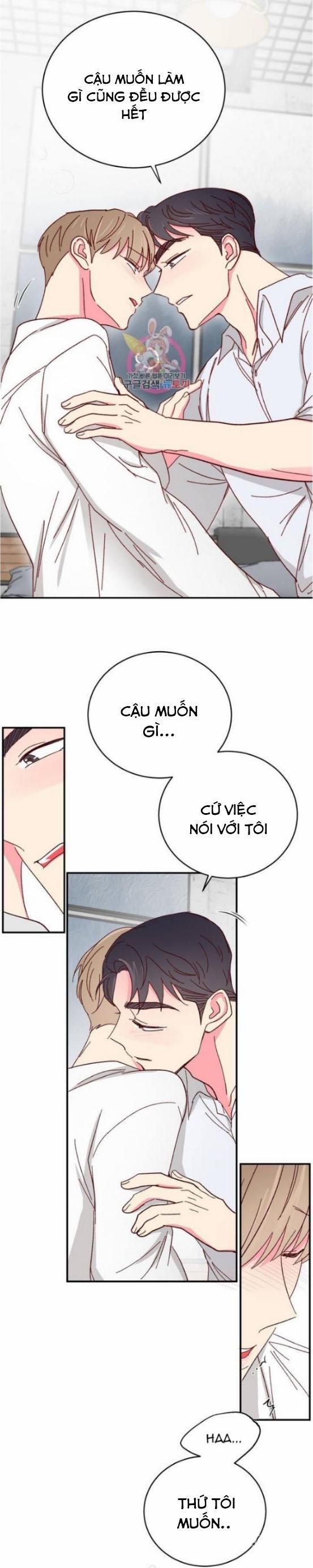 Món Tráng Miệng Của Sếp Tổng 61 trang 2