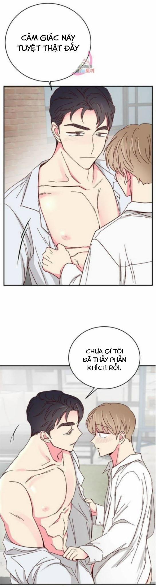 Món Tráng Miệng Của Sếp Tổng 61 trang 6