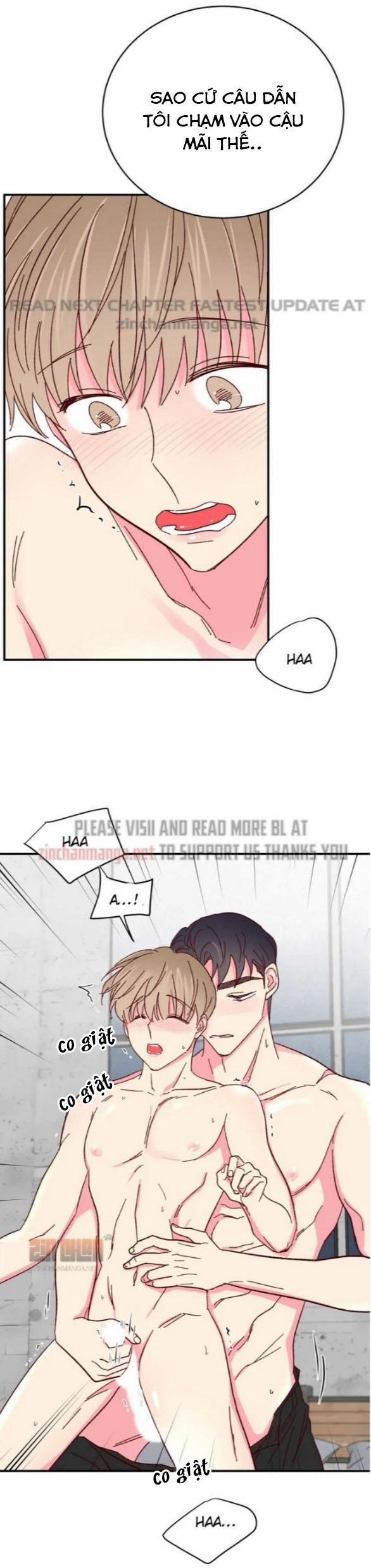 Món Tráng Miệng Của Sếp Tổng 62 trang 16