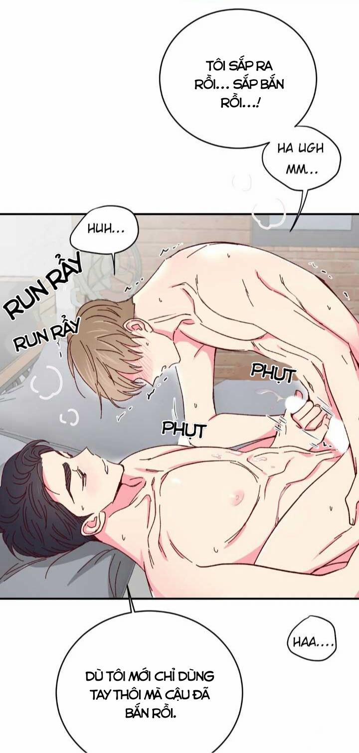 Món Tráng Miệng Của Sếp Tổng 63 trang 40