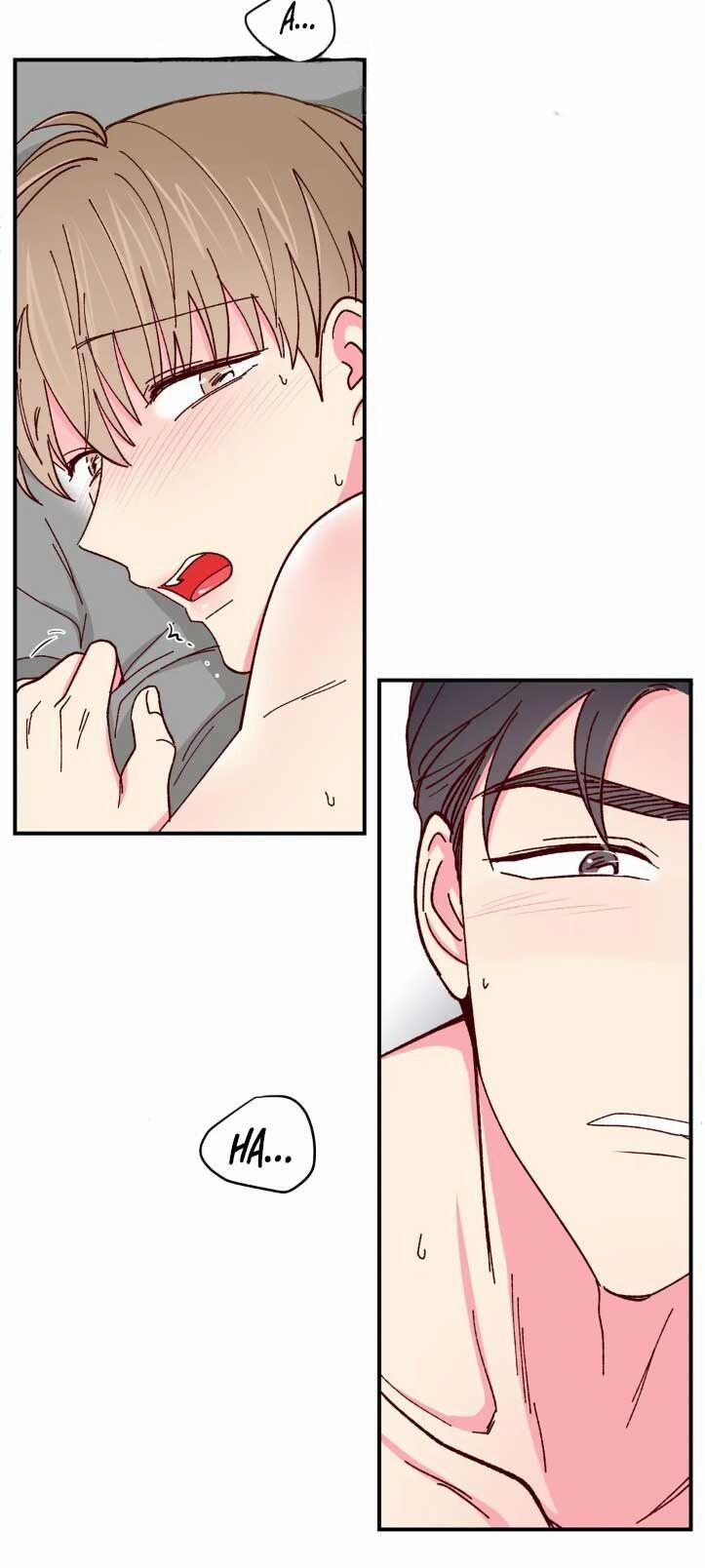 Món Tráng Miệng Của Sếp Tổng 63 trang 5