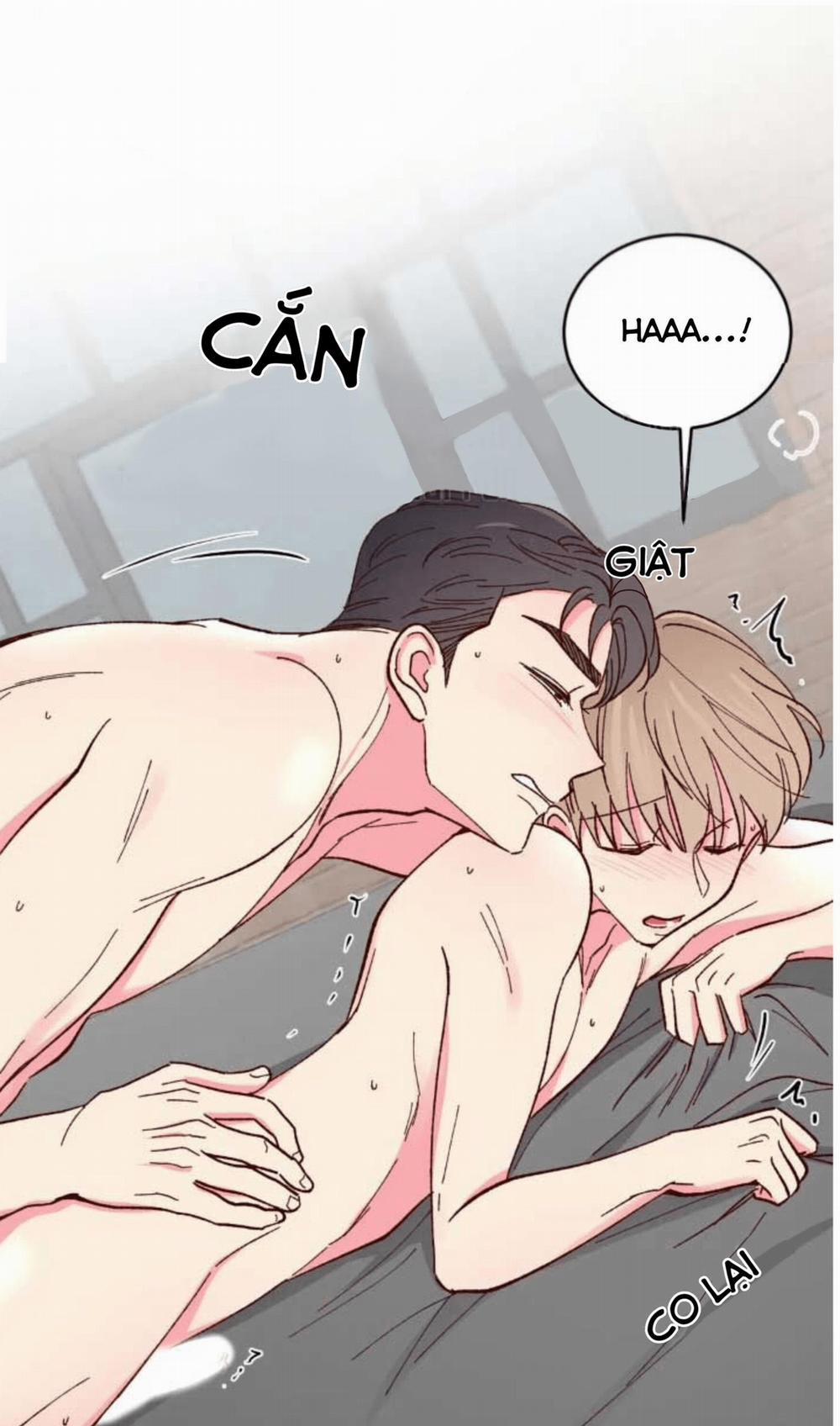 Món Tráng Miệng Của Sếp Tổng 63 trang 9