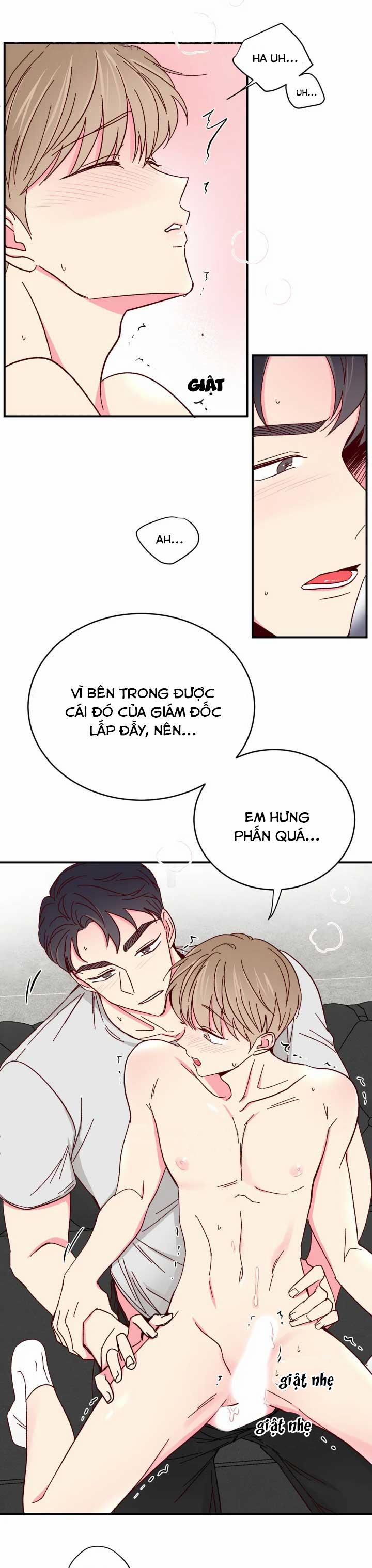 Món Tráng Miệng Của Sếp Tổng 70 trang 0