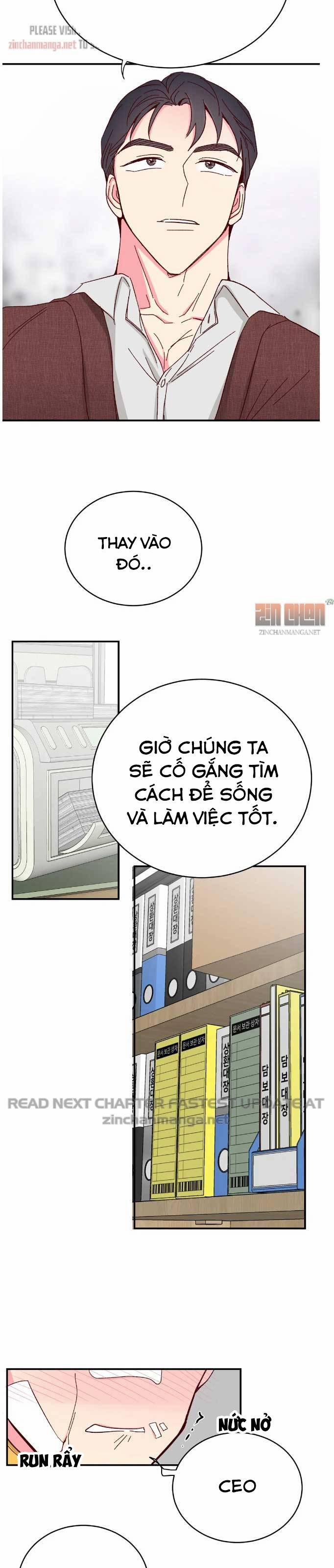 Món Tráng Miệng Của Sếp Tổng 71 trang 14