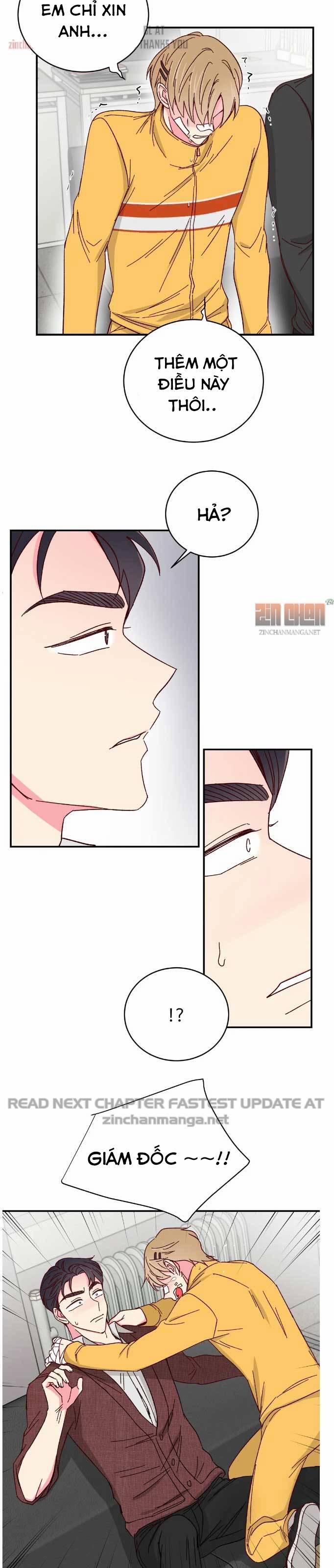 Món Tráng Miệng Của Sếp Tổng 71 trang 15