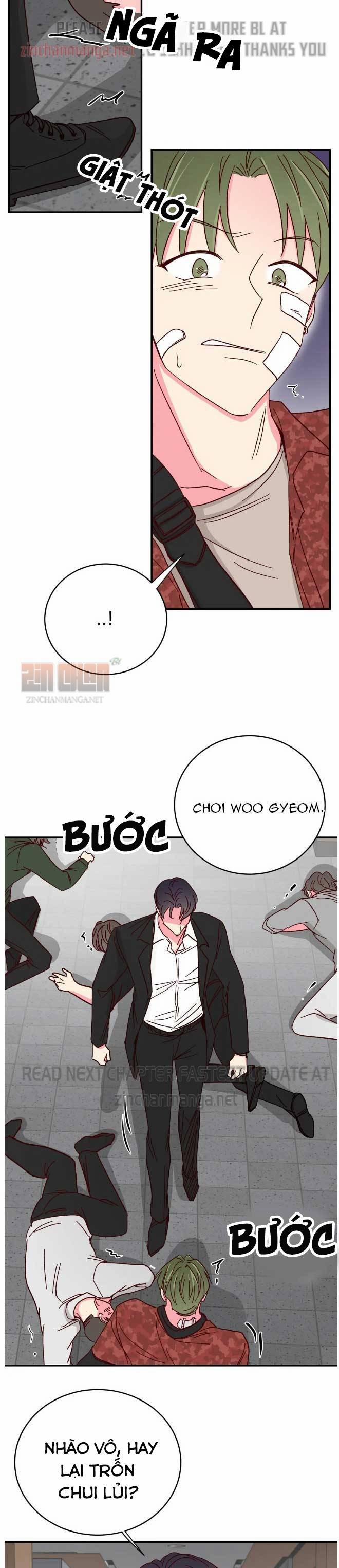 Món Tráng Miệng Của Sếp Tổng 72 trang 5