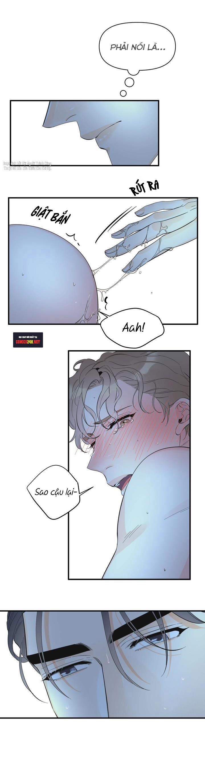 Mộng Tưởng 23 trang 12