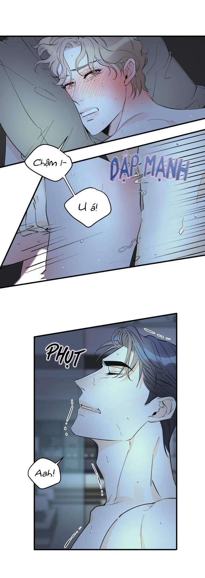 Mộng Tưởng 24 trang 3