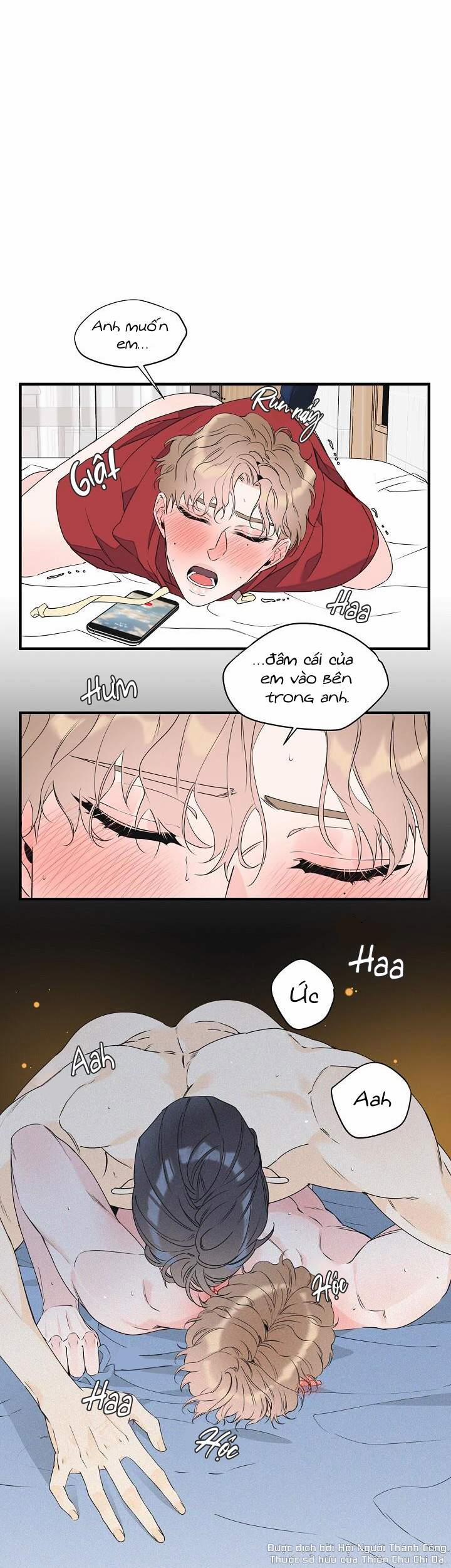 Mộng Tưởng 28 trang 8