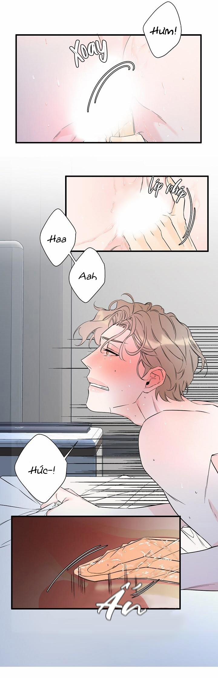 Mộng Tưởng 31 trang 14