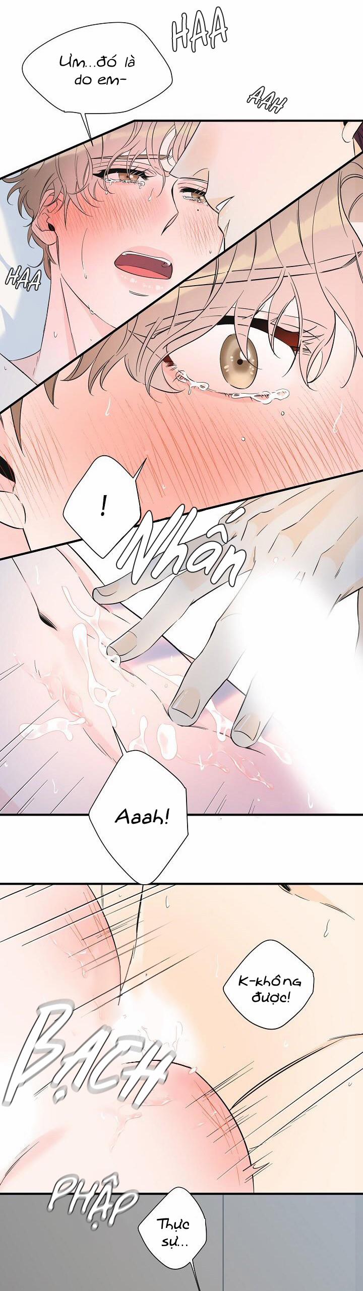 Mộng Tưởng 32 trang 8