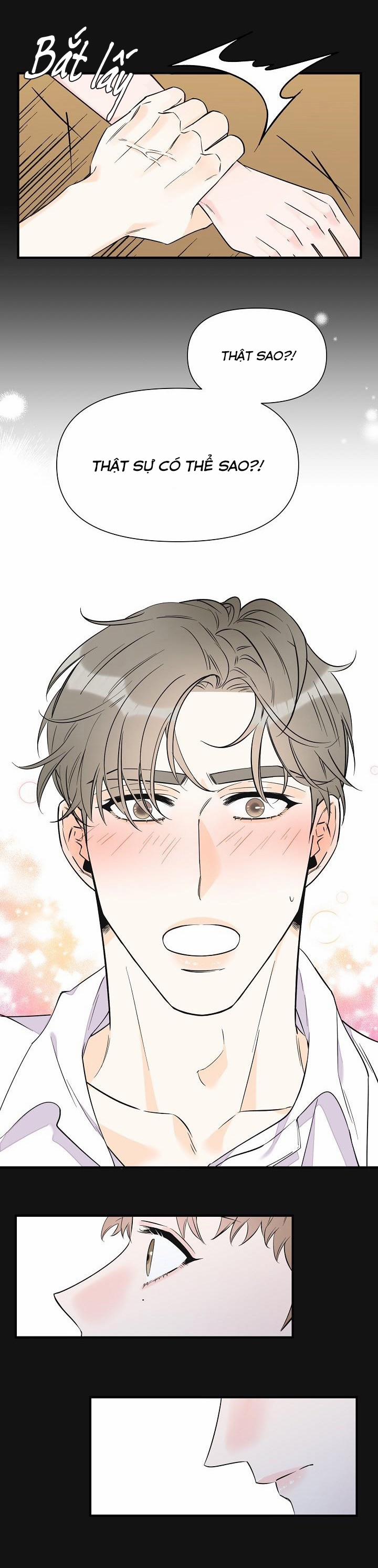 Mộng Tưởng 37 trang 17