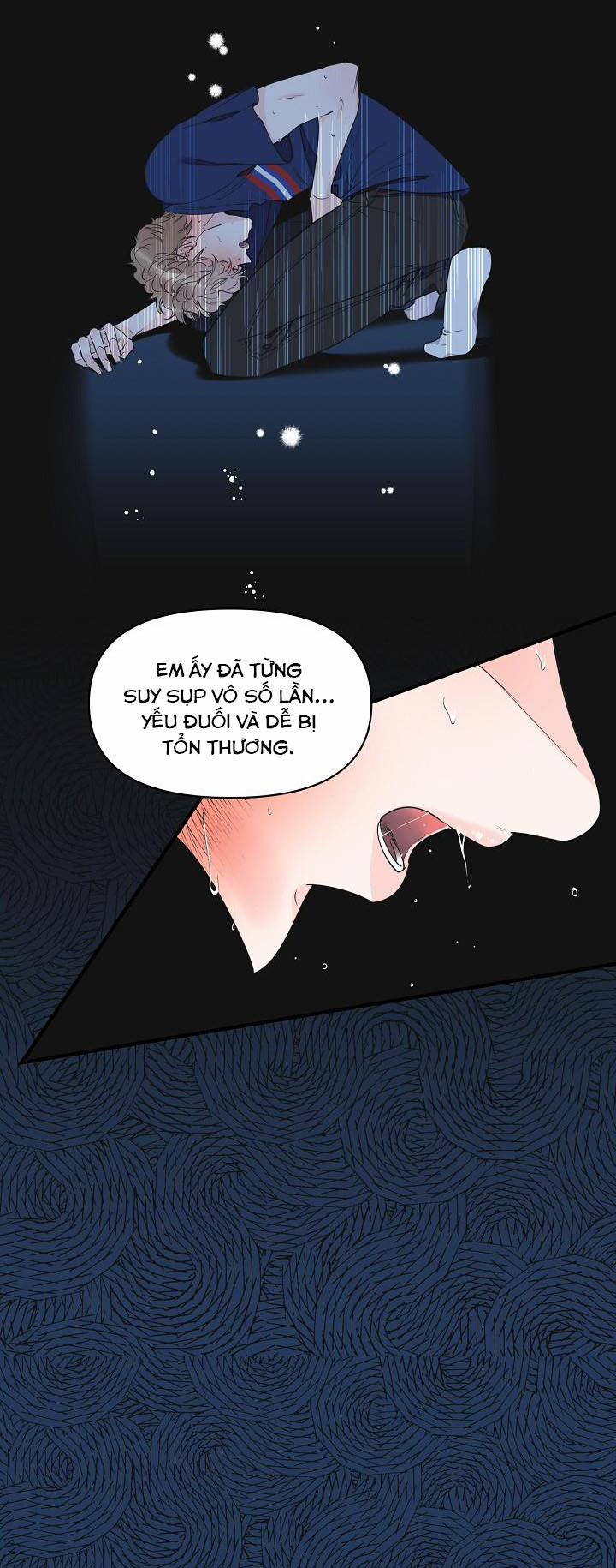 Mộng Tưởng 43 trang 17