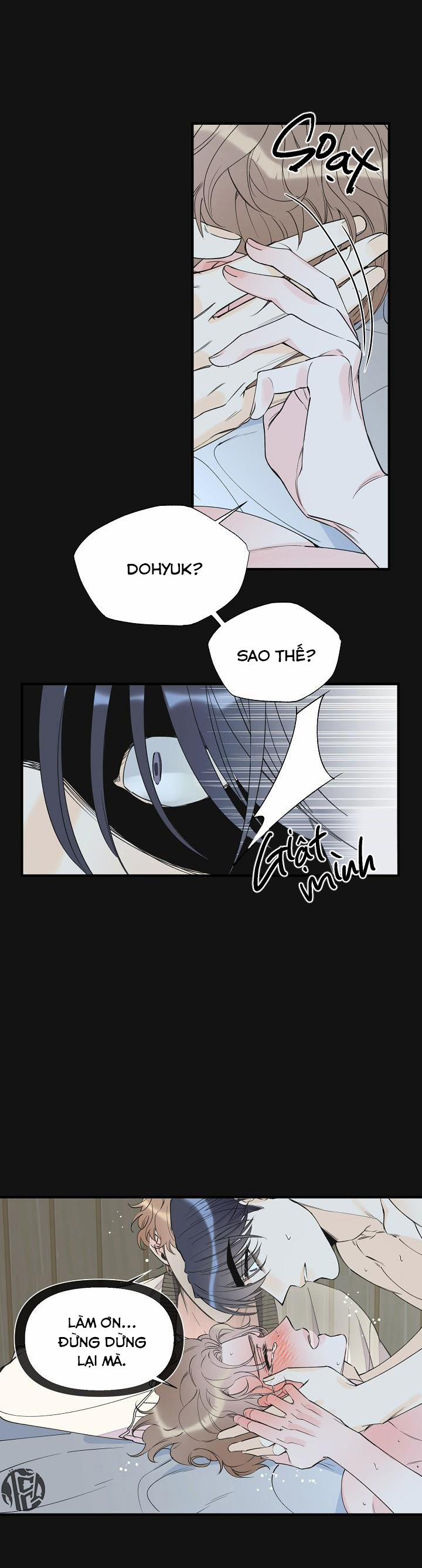 Mộng Tưởng 46 trang 12