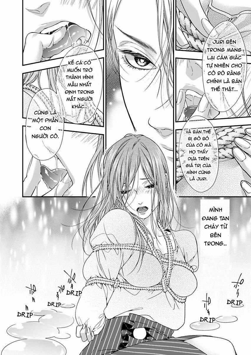 Mộng Ước Trên Những Trang Giấy 15.1 trang 12