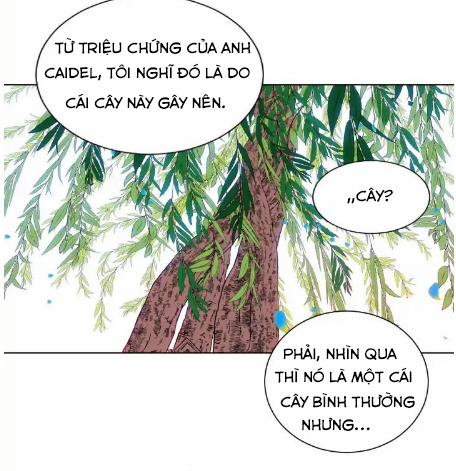 Mong Ước Tuyệt Vọng Của Một Phù Thủy 3 trang 17