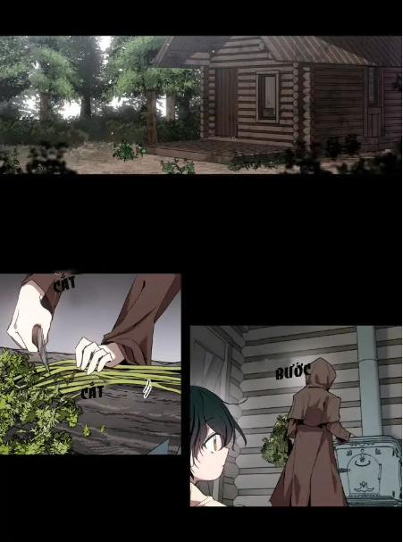 Mong Ước Tuyệt Vọng Của Một Phù Thủy 3 trang 2