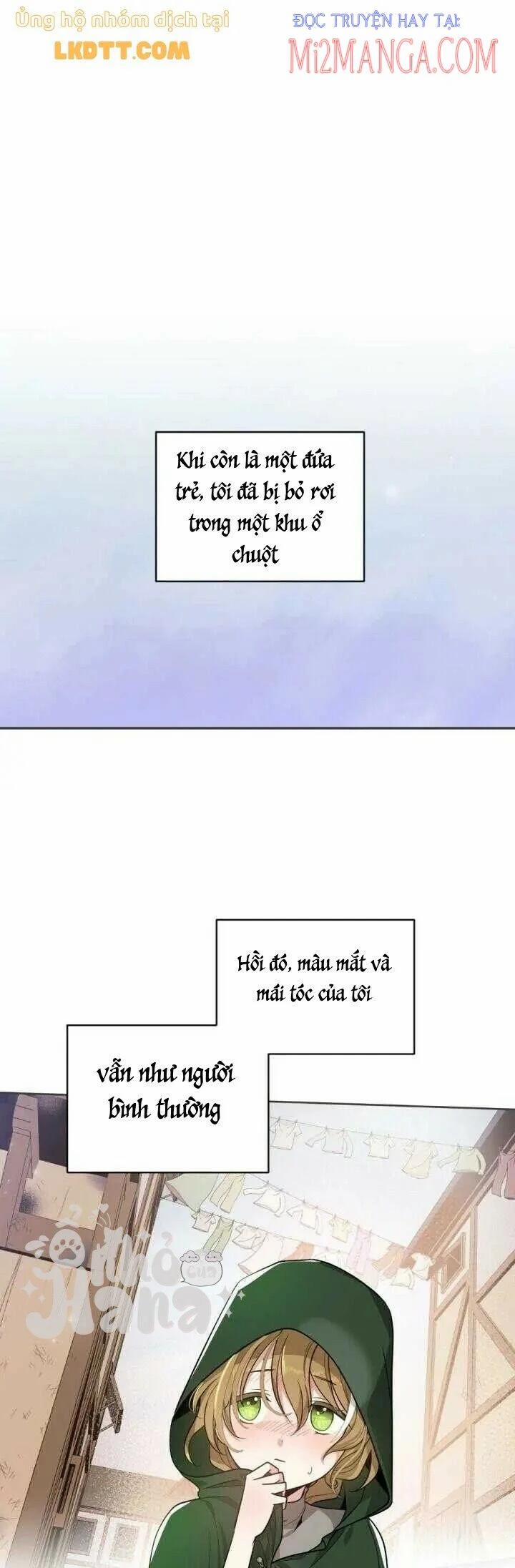 Mong Ước Tuyệt Vọng Của Một Phù Thủy 46 trang 0