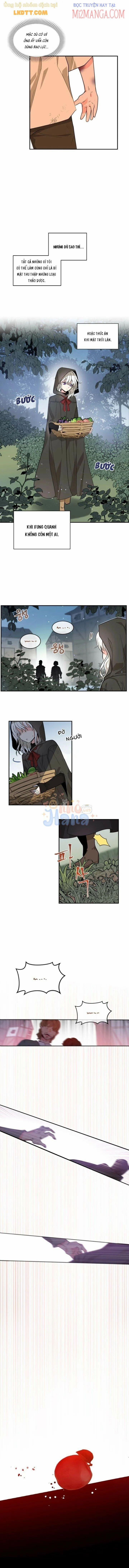 Mong Ước Tuyệt Vọng Của Một Phù Thủy 47 trang 3