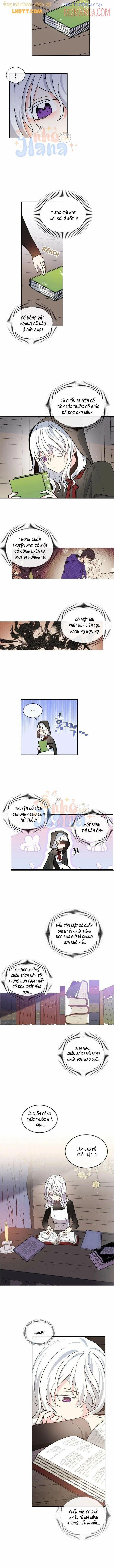 Mong Ước Tuyệt Vọng Của Một Phù Thủy 49.5 trang 1