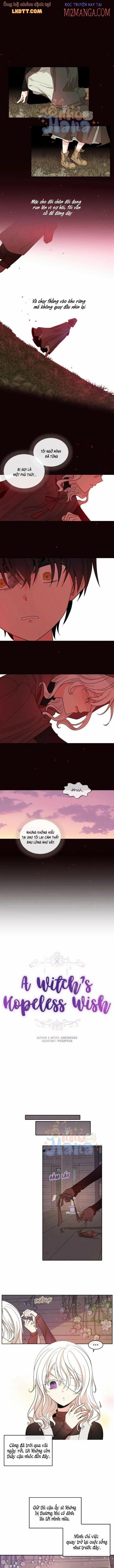 Mong Ước Tuyệt Vọng Của Một Phù Thủy 49 trang 0