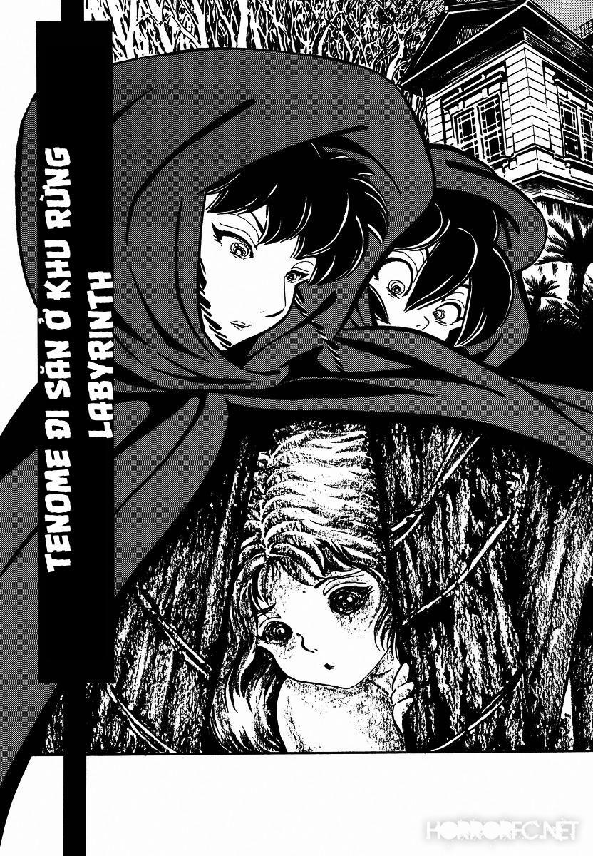 Mononoke Soushi 13 trang 0