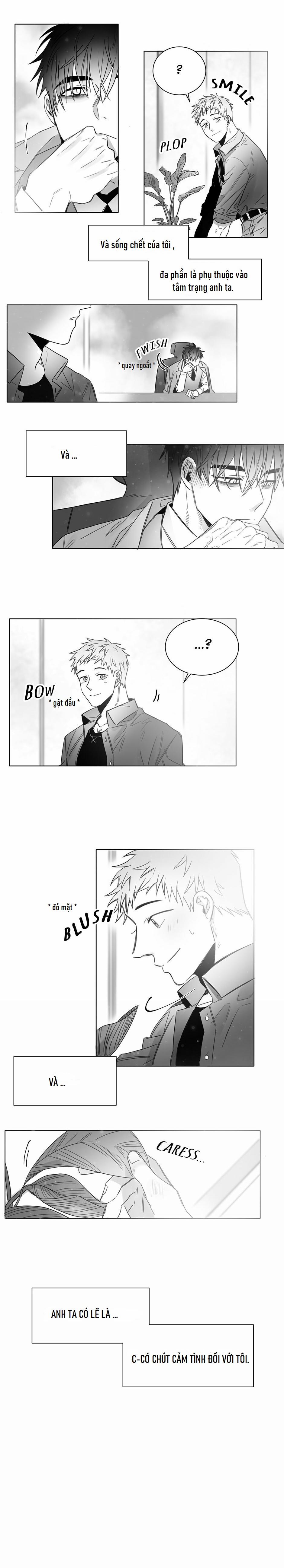 Một Ngàn Con Hạc Giấy 12 trang 1