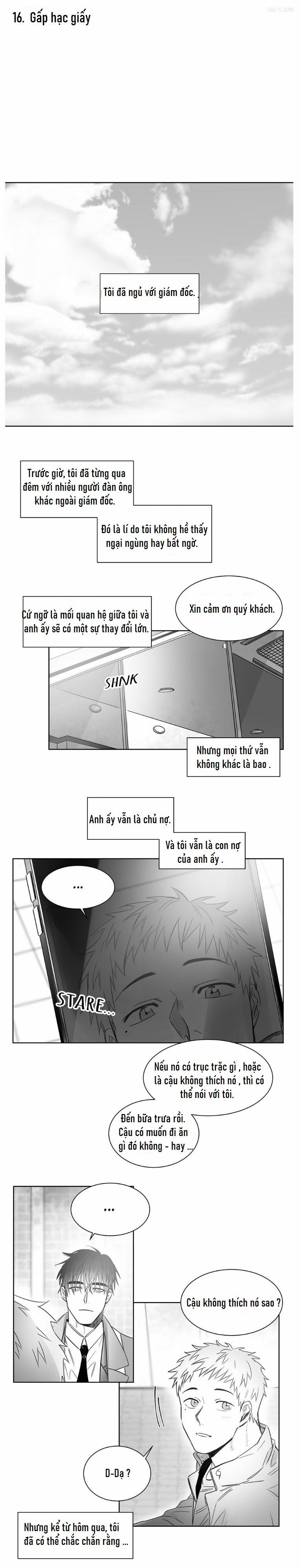 Một Ngàn Con Hạc Giấy 16 trang 0