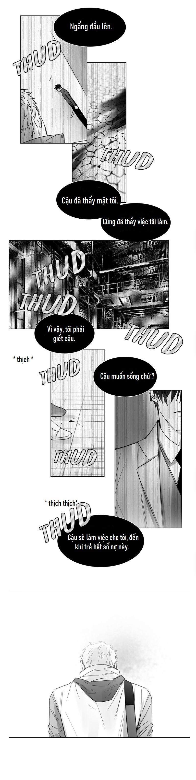 Một Ngàn Con Hạc Giấy 19 trang 1