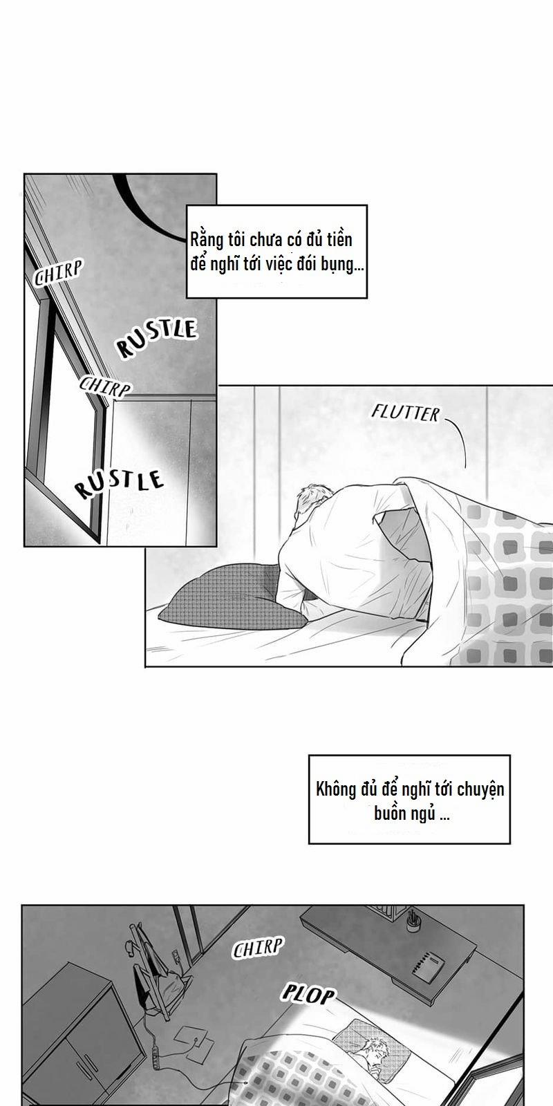 Một Ngàn Con Hạc Giấy 2 trang 14