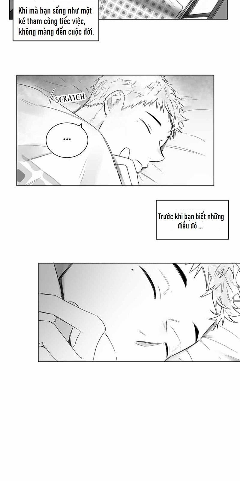 Một Ngàn Con Hạc Giấy 2 trang 15