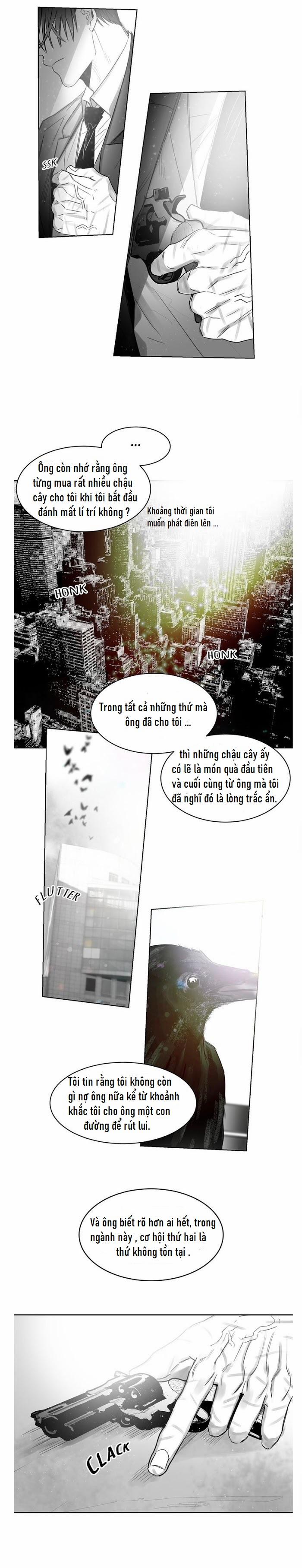 Một Ngàn Con Hạc Giấy 31 trang 3