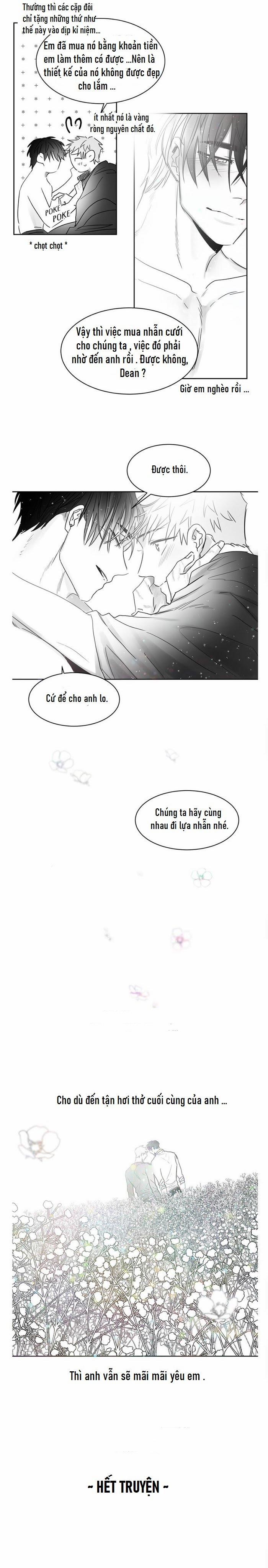 Một Ngàn Con Hạc Giấy 35.3 trang 13