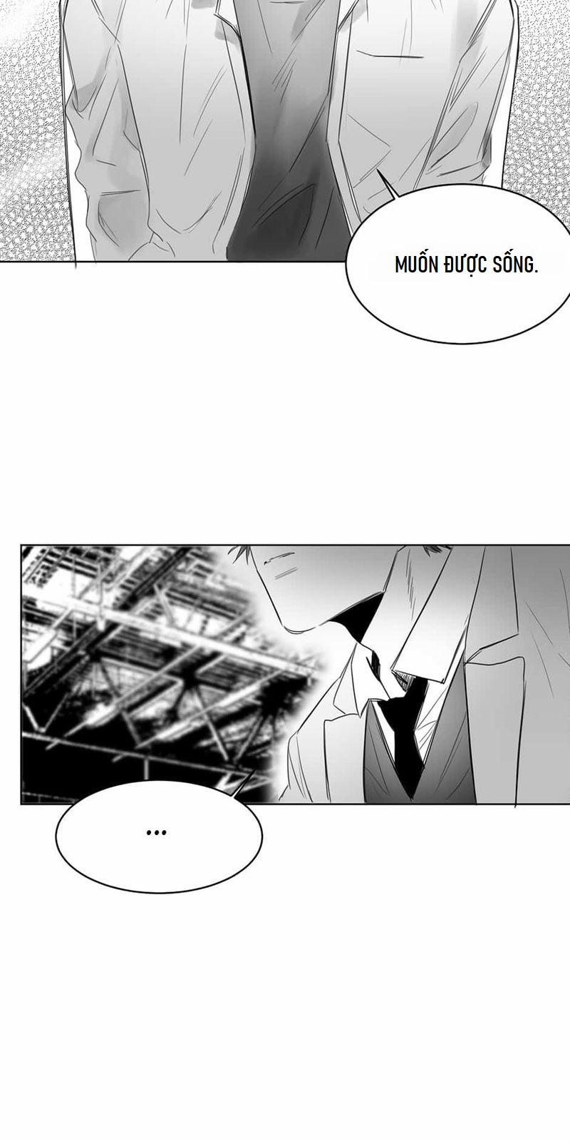 Một Ngàn Con Hạc Giấy 4 trang 19