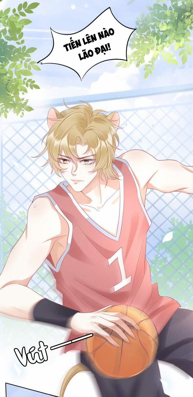 Một Ngụm Nuốt Trọn Thỏ Con 2 trang 33