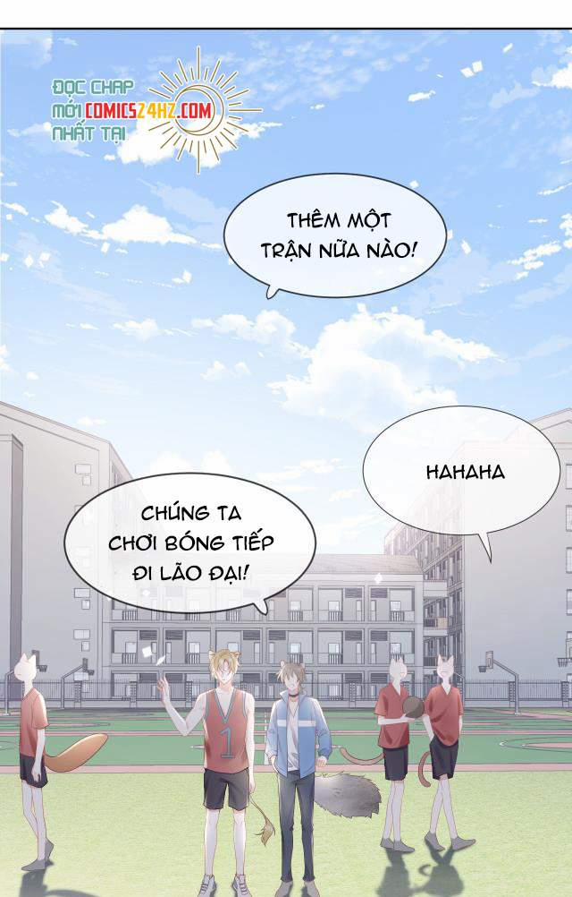 Một Ngụm Nuốt Trọn Thỏ Con 3 trang 2