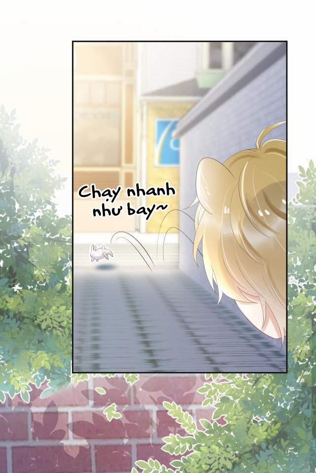 Một Ngụm Nuốt Trọn Thỏ Con 3 trang 48