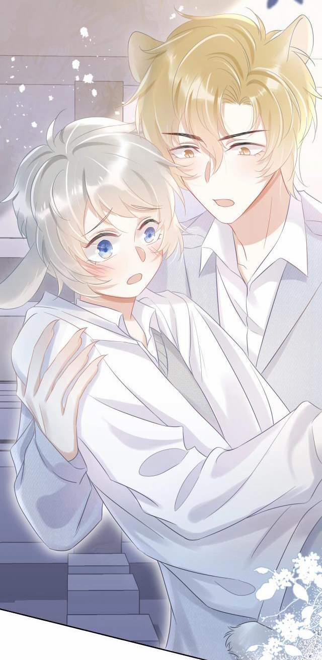 Một Ngụm Nuốt Trọn Thỏ Con 4 trang 50