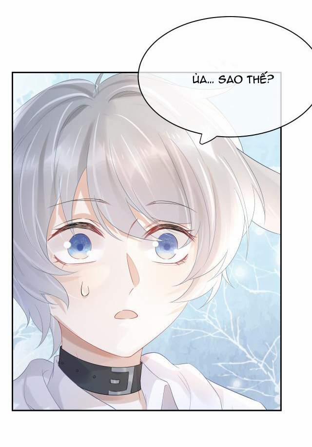 Một Ngụm Nuốt Trọn Thỏ Con 5 trang 12