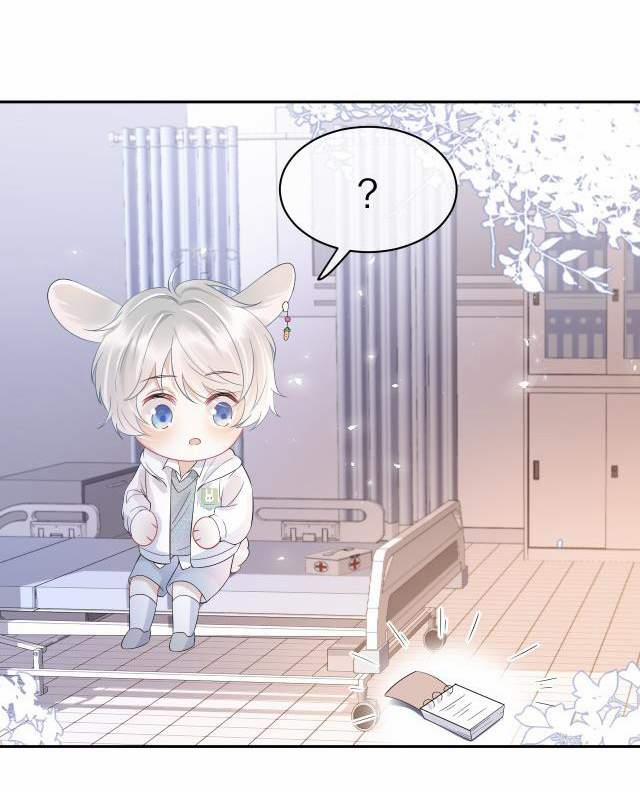 Một Ngụm Nuốt Trọn Thỏ Con 5 trang 17