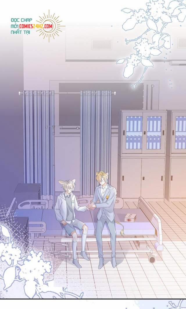 Một Ngụm Nuốt Trọn Thỏ Con 5 trang 2