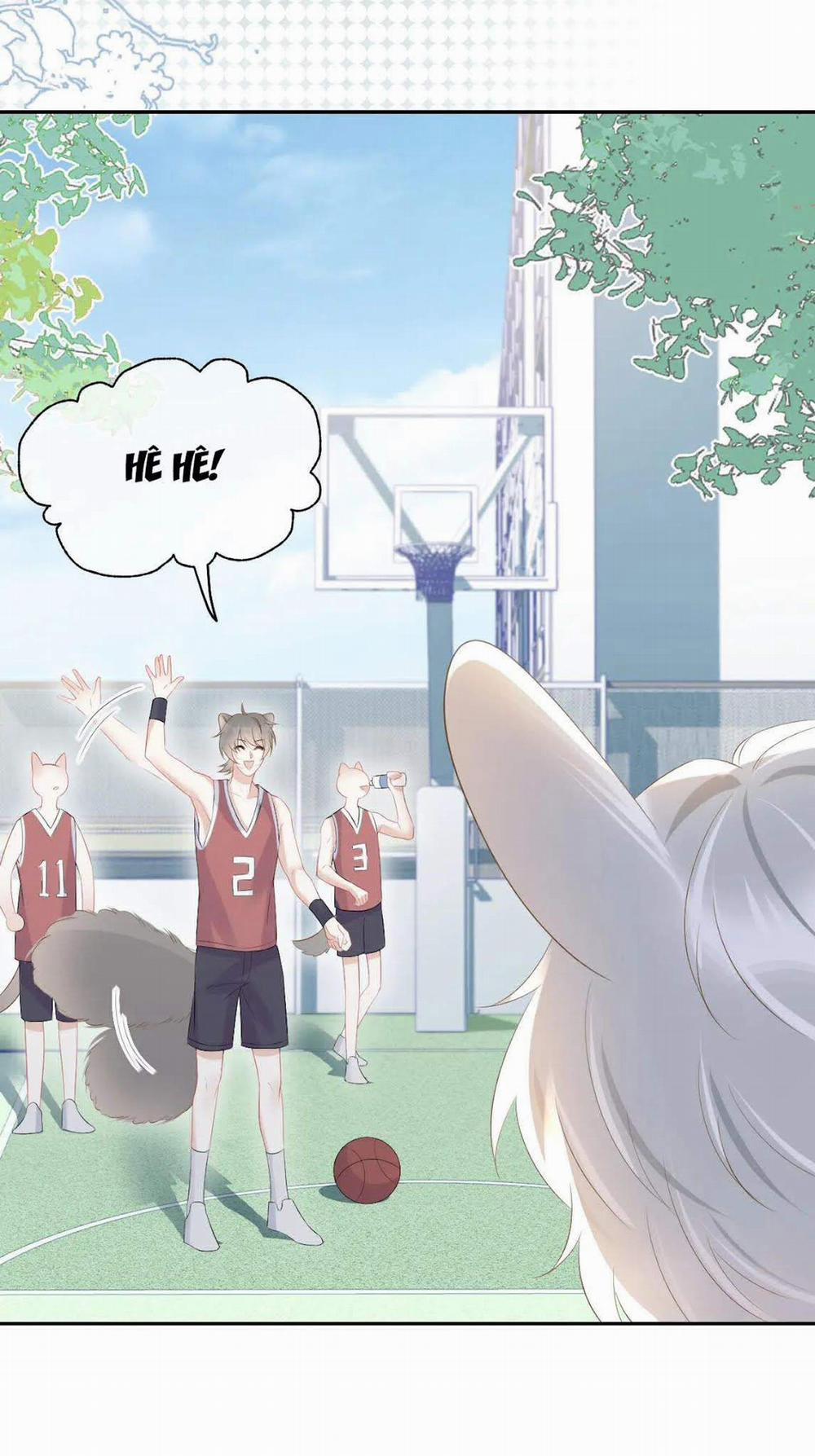 Một Ngụm Nuốt Trọn Thỏ Con 7 trang 17