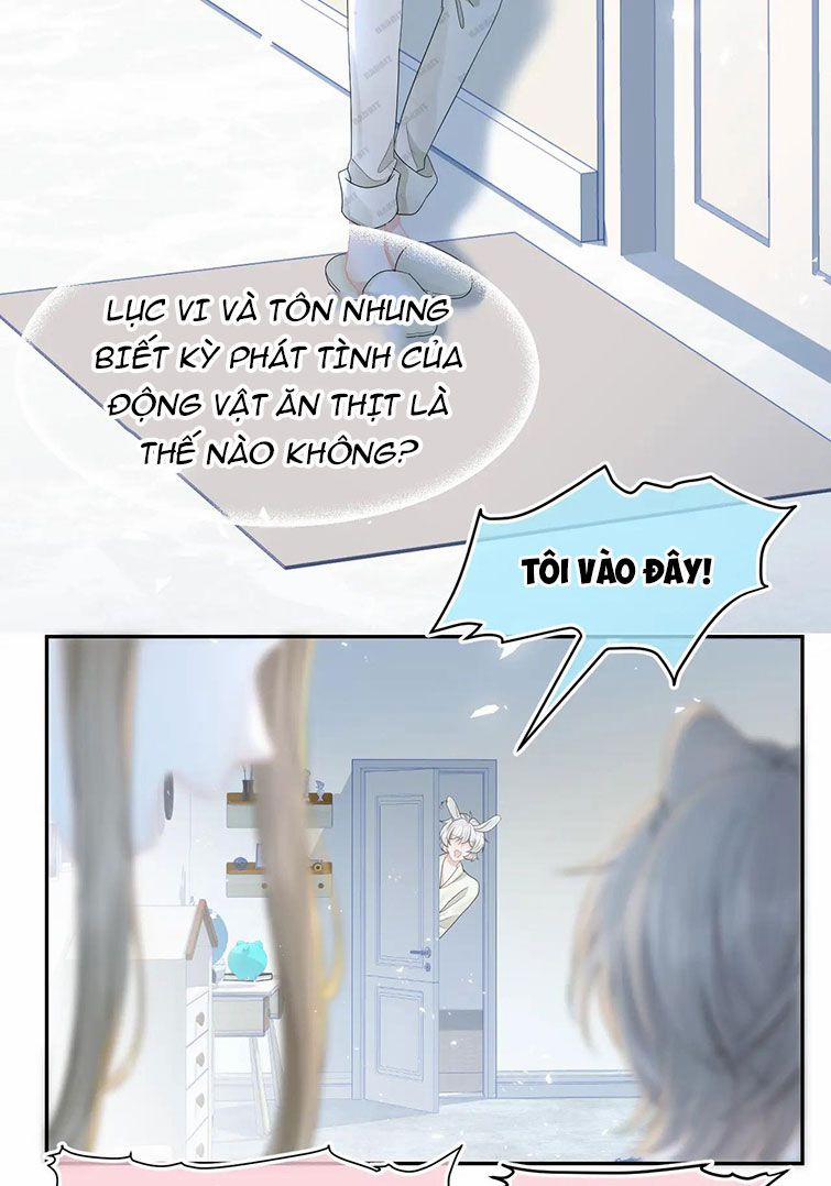 Một Ngụm Nuốt Trọn Thỏ Con 78 trang 22