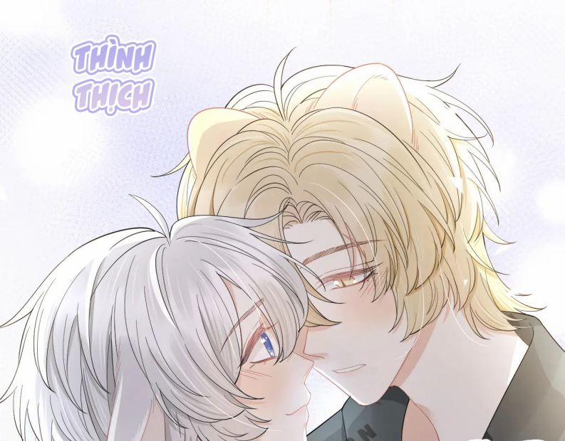 Một Ngụm Nuốt Trọn Thỏ Con 80 trang 20