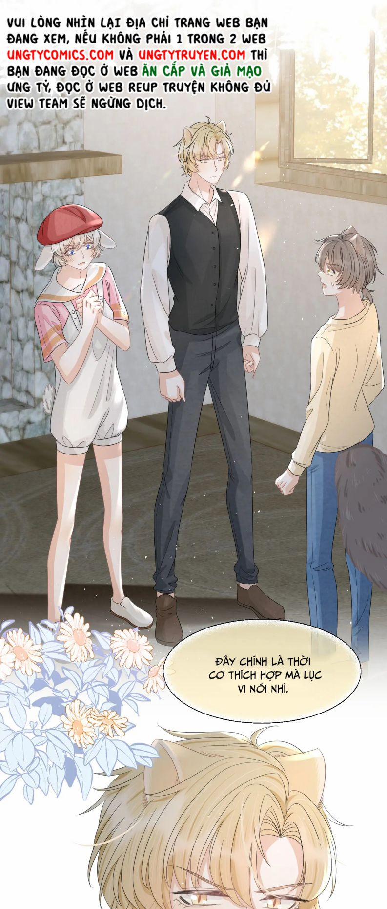 Một Ngụm Nuốt Trọn Thỏ Con 84 trang 17