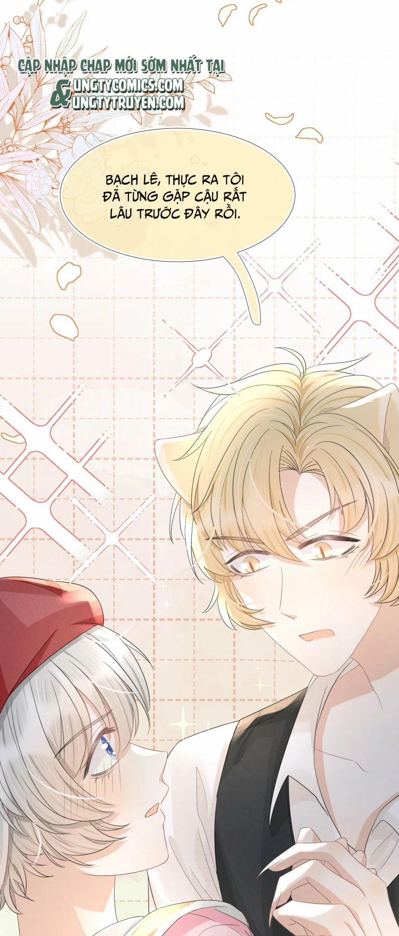 Một Ngụm Nuốt Trọn Thỏ Con 84 trang 19