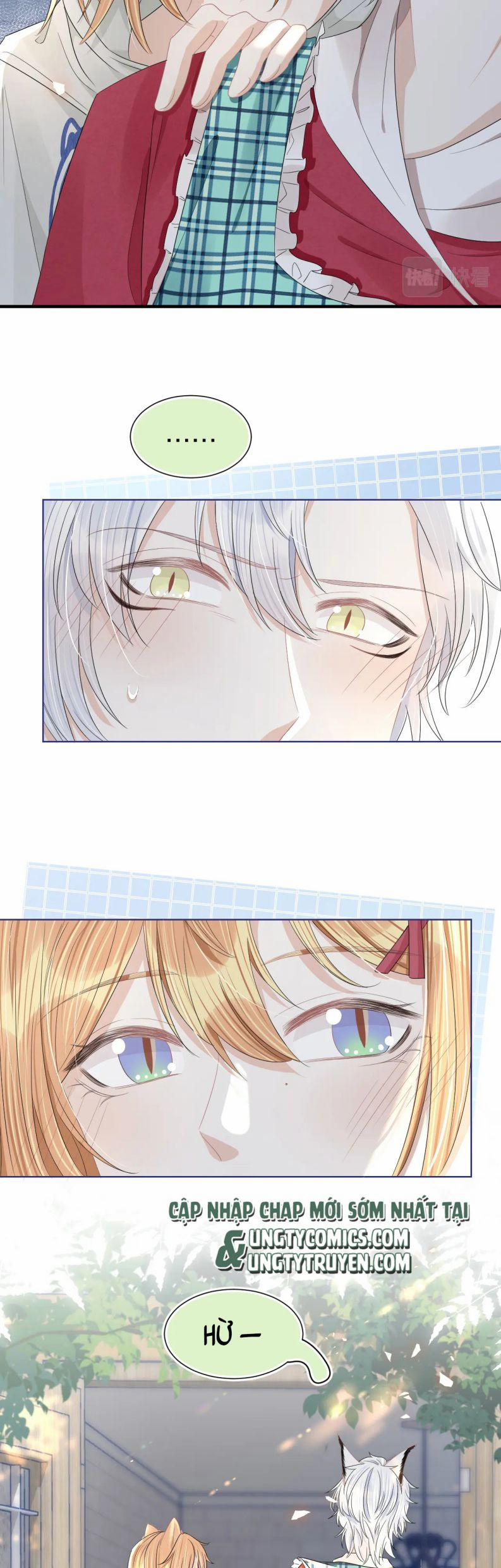 Một Ngụm Nuốt Trọn Thỏ Con 85 trang 19