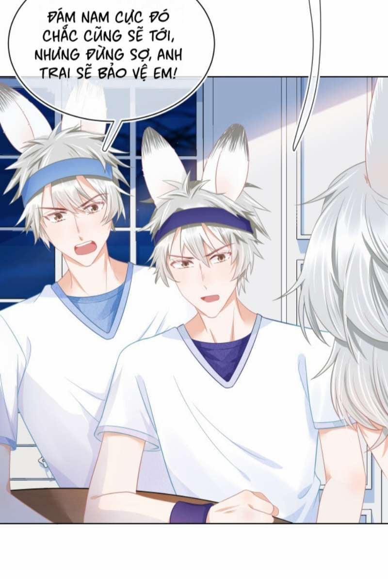 Một Ngụm Nuốt Trọn Thỏ Con 91 trang 41